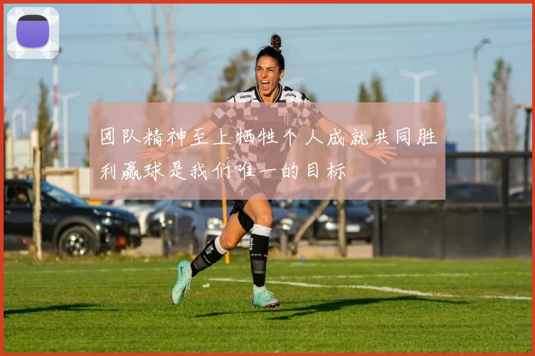 团队精神至上牺牲个人成就共同胜利赢球是我们唯一的目标