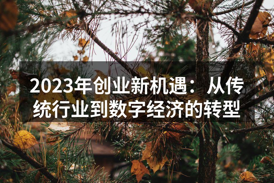2023年创业新机遇：从传统行业到数字经济的转型