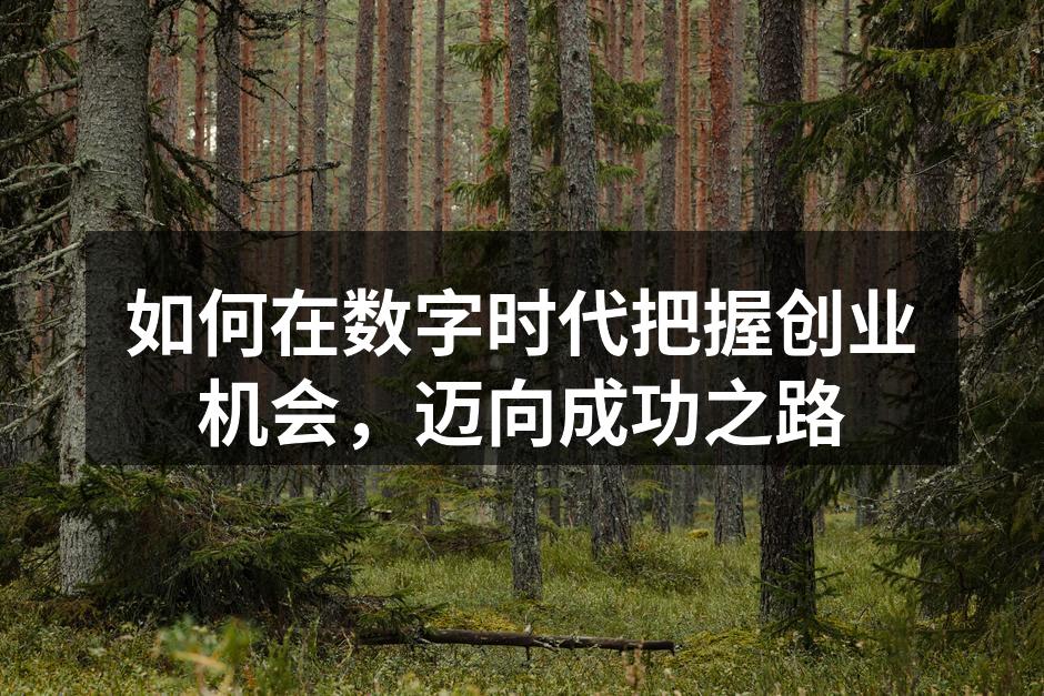 如何在数字时代把握创业机会，迈向成功之路