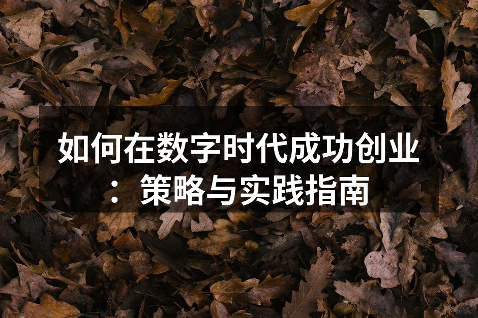 如何在数字时代成功创业：策略与实践指南